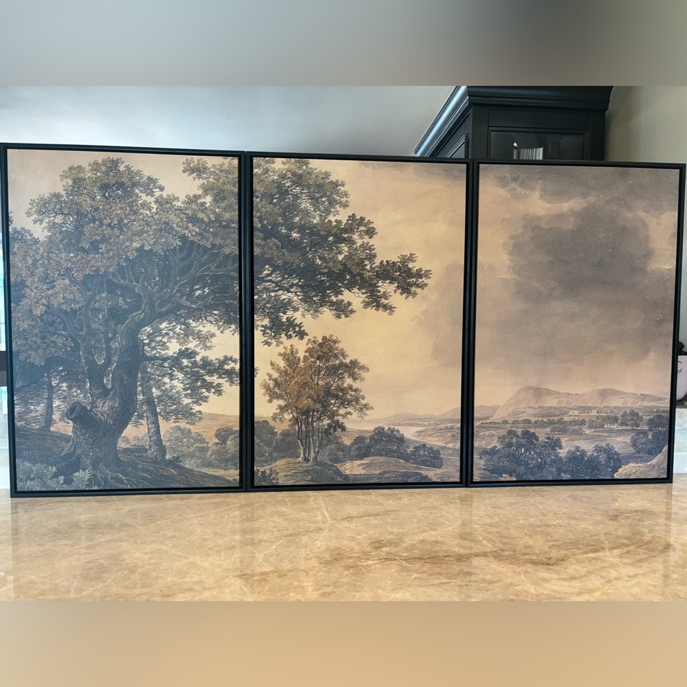 BRAND NEW MUDECOR Framed Wall Art Landscape Rustic Tree and Mountain View